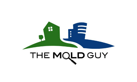 The Mold Guy